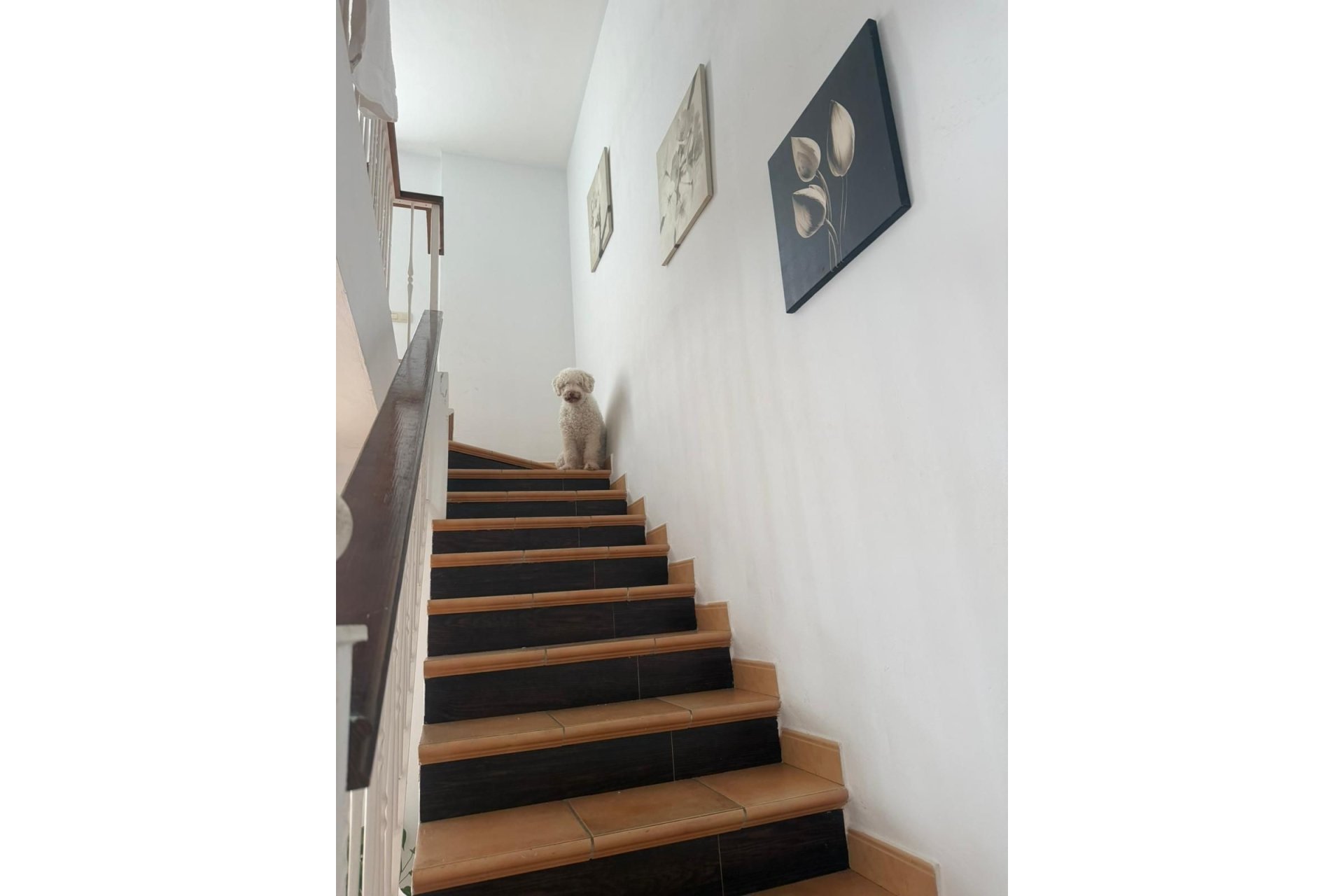 Resale - Town house - Benahavís - Benahavís Centro