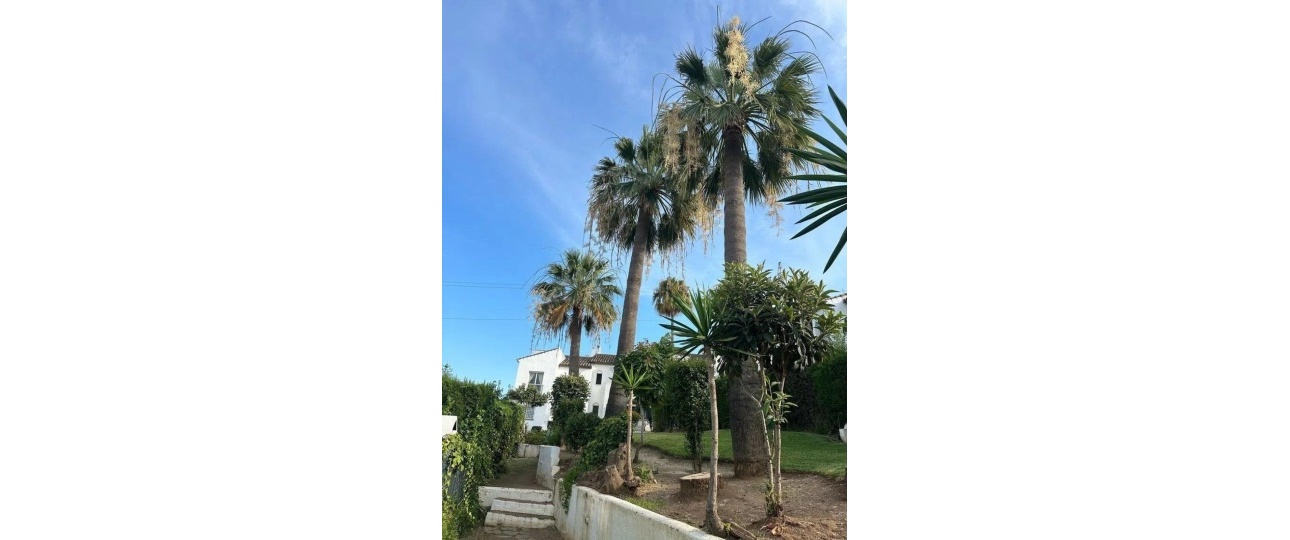 Resale - Town house - Estepona - Bel Air