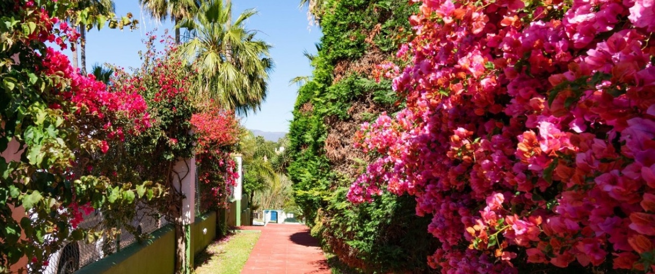 Resale - Town house - Estepona - Estepona Centro