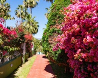 Resale - Town house - Estepona - Estepona Centro