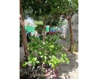 Resale - Town house - Estepona - Estepona Centro
