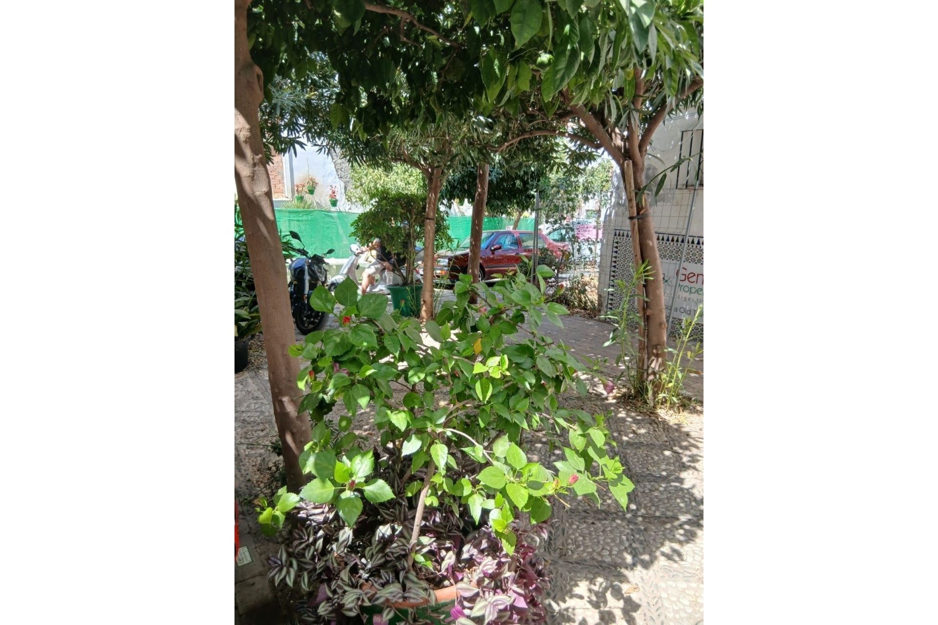 Resale - Town house - Estepona - Estepona Centro
