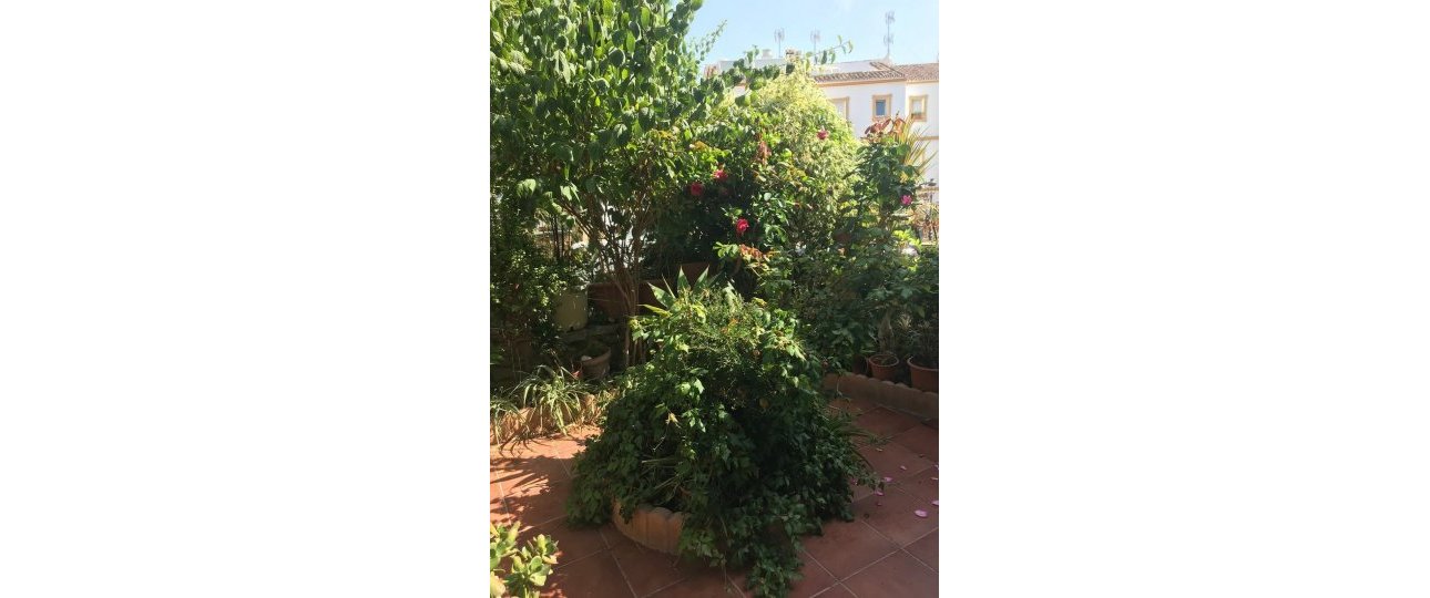 Resale - Town house - Estepona - Estepona Centro