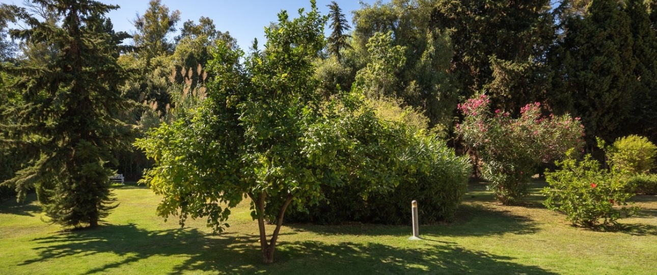 Resale - Town house - Marbella - Cabopino