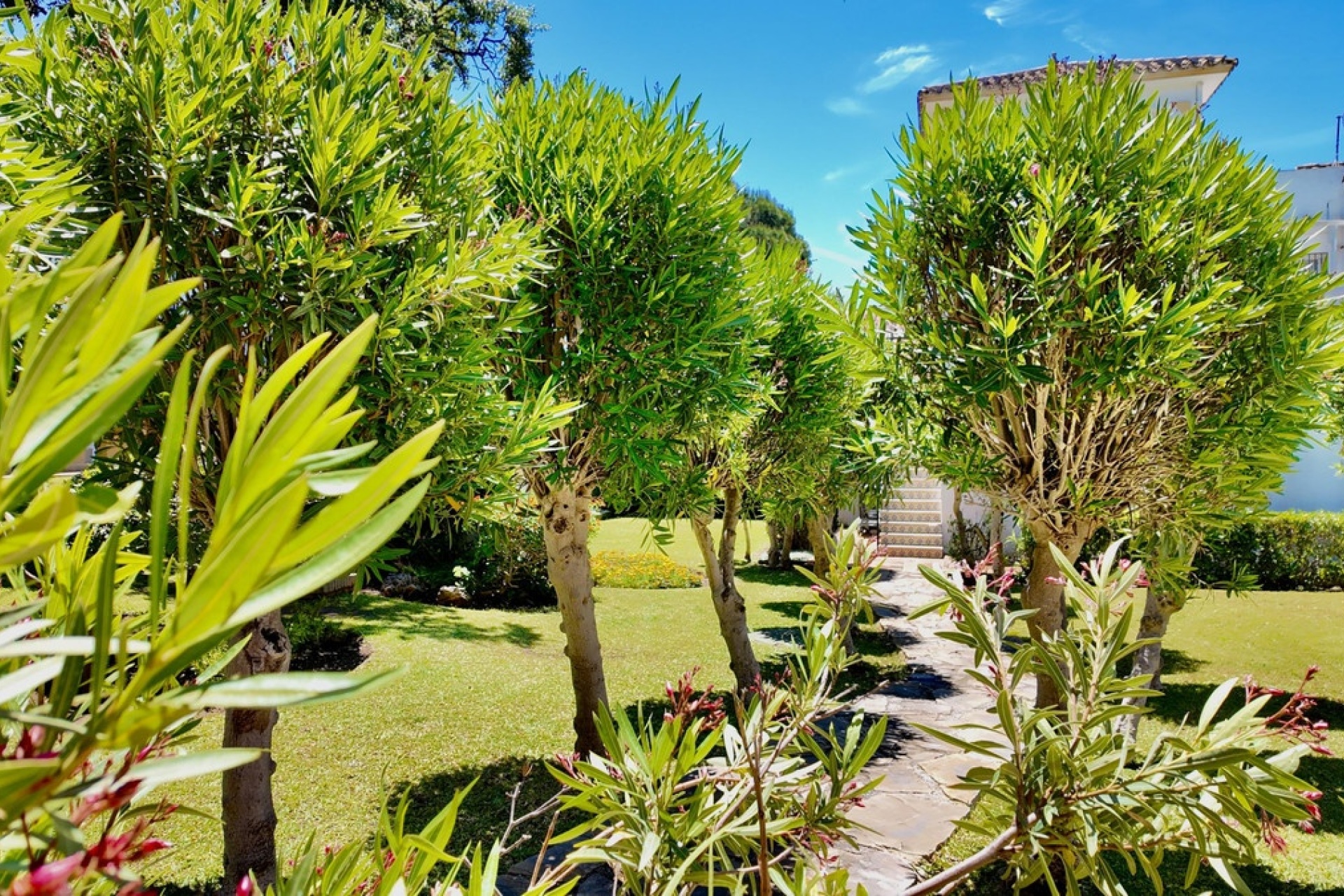Resale - Town house - Marbella - Elviria