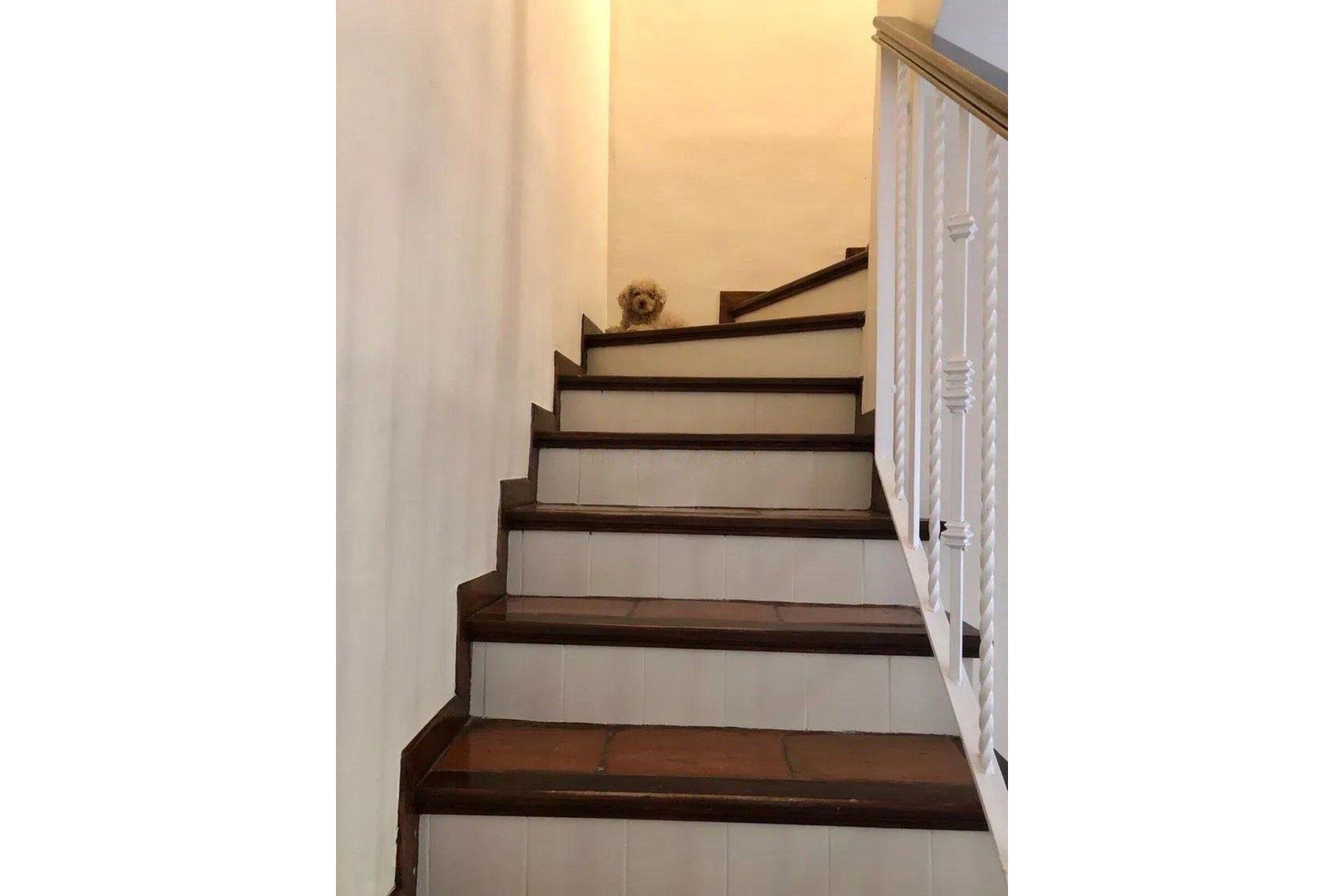 Resale - Town house - Marbella - Guadalmina Baja