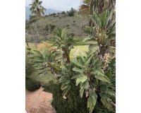 Resale - Town house - Marbella - Marbella Centro
