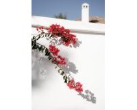 Resale - Town house - Marbella - Nueva Andalucía