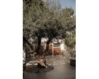 Resale - Town house - Marbella - Nueva Andalucía