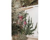 Resale - Town house - Marbella - Nueva Andalucía