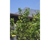 Resale - Town house - Marbella - The Golden Mile