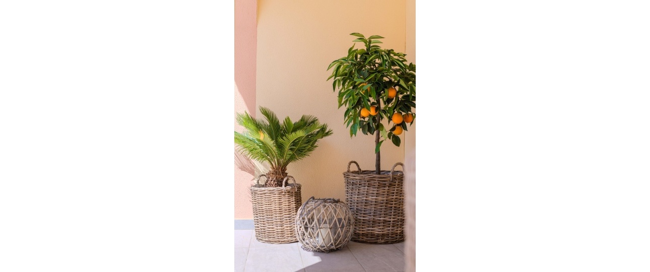 Resale - Town house - Orihuela - Orihuela Costa