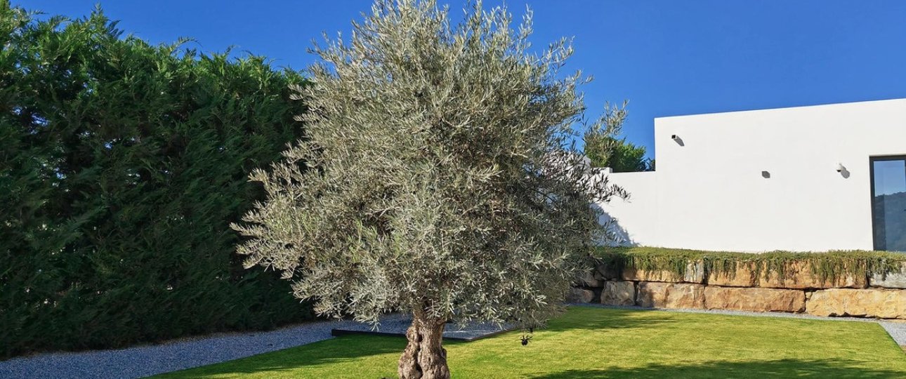 Resale - Villa - Benahavís - Benahavís Centro
