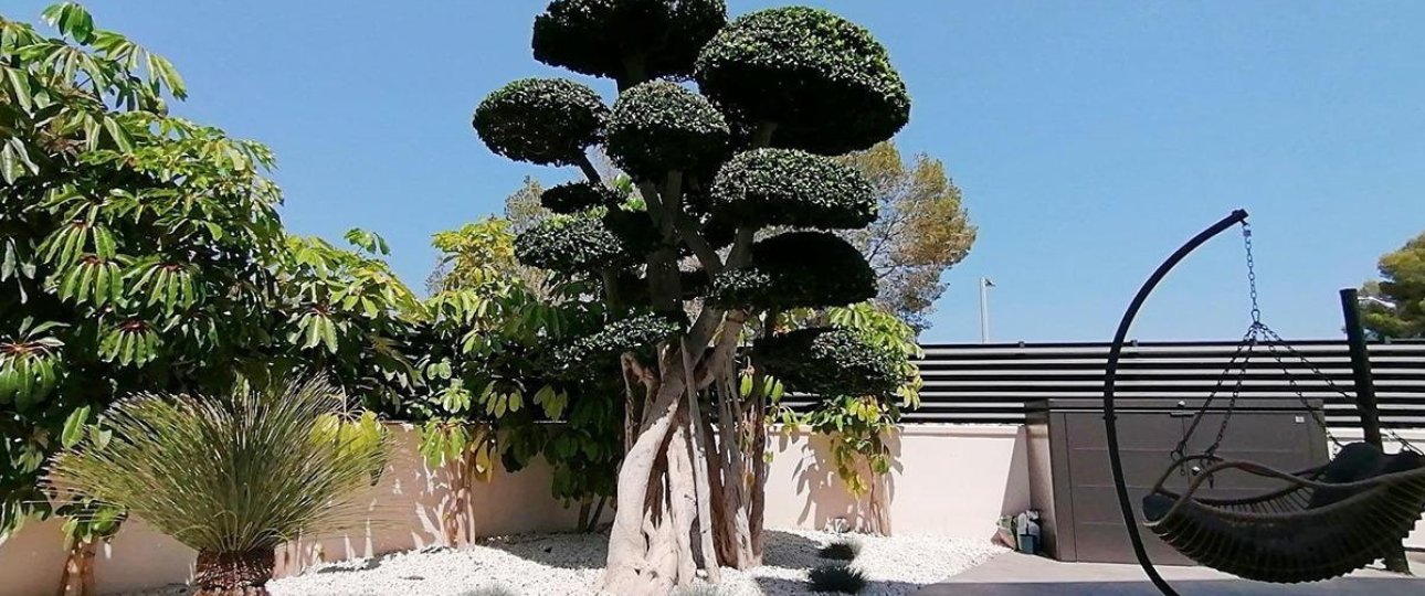 Resale - Villa - Benidorm - Benidorm Centro
