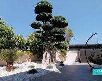 Resale - Villa - Benidorm - Benidorm Centro