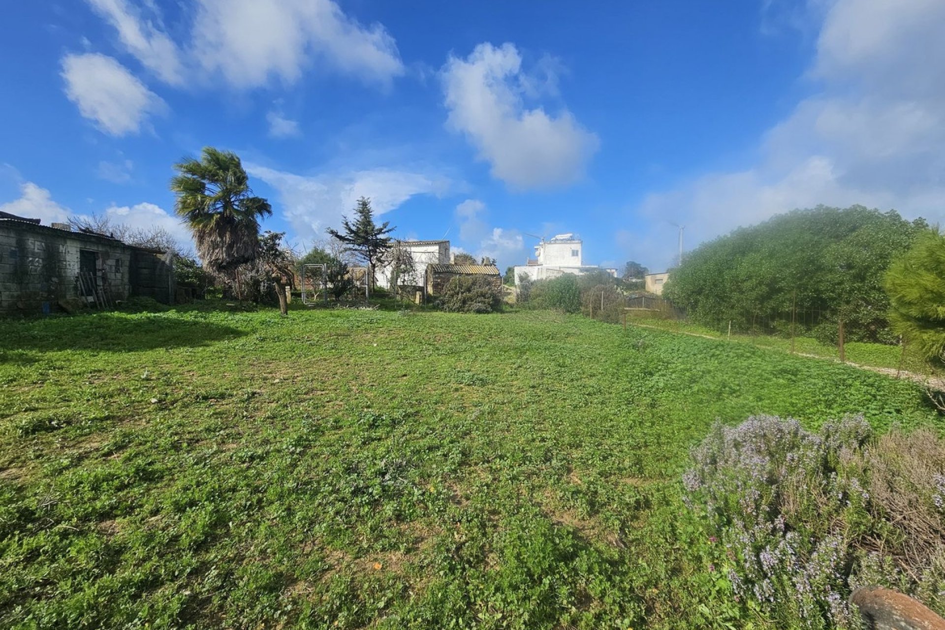 Resale - Villa - Casares - Casares Centro