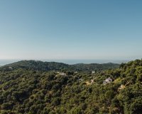 Resale - Villa - Casares - Casares Centro
