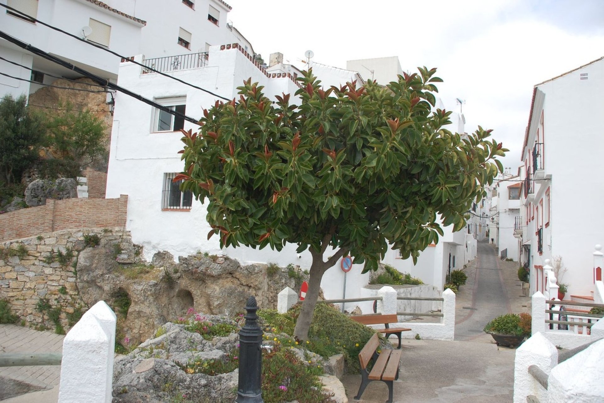 Resale - Villa - Casares - Casares Centro