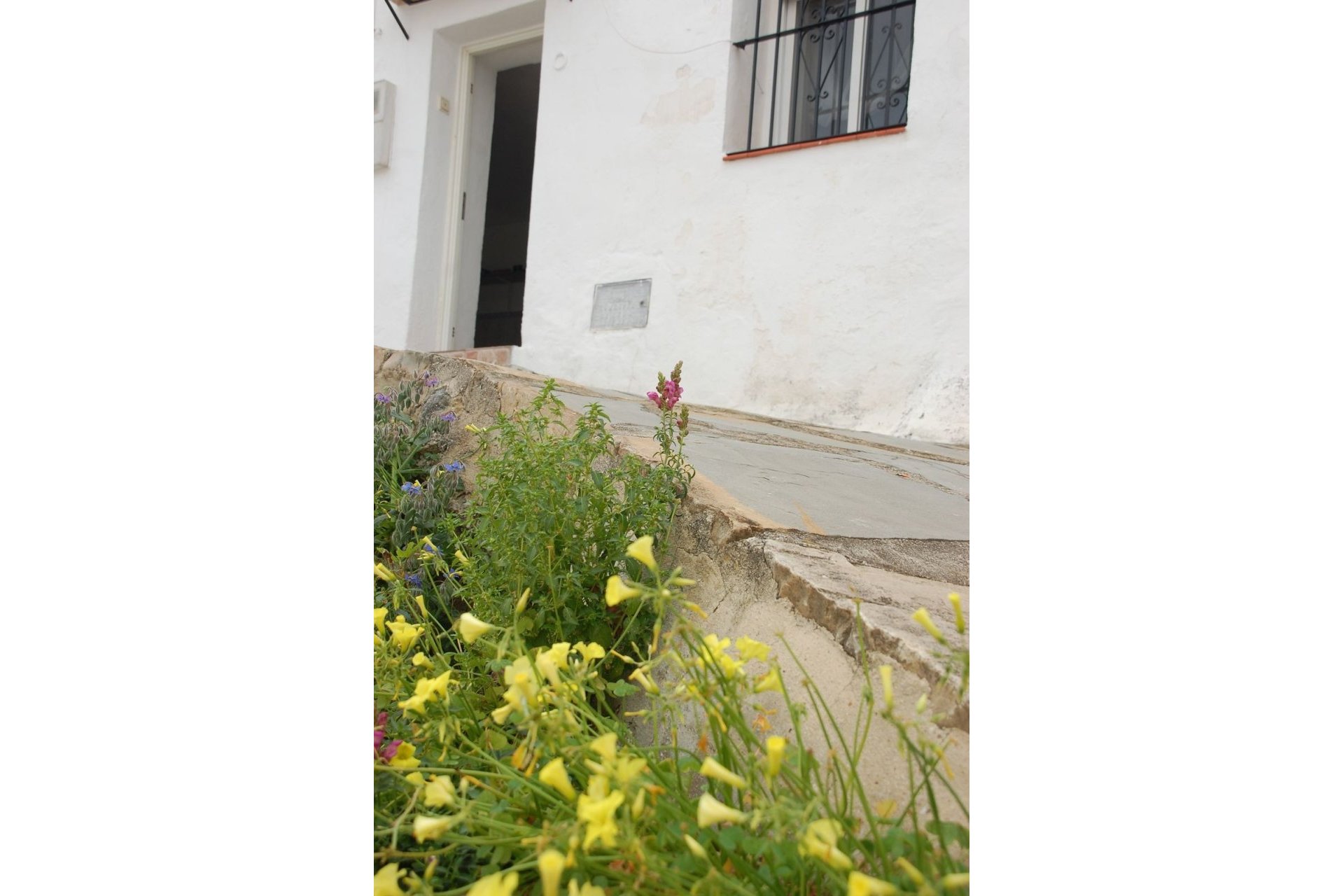 Resale - Villa - Casares - Casares Centro