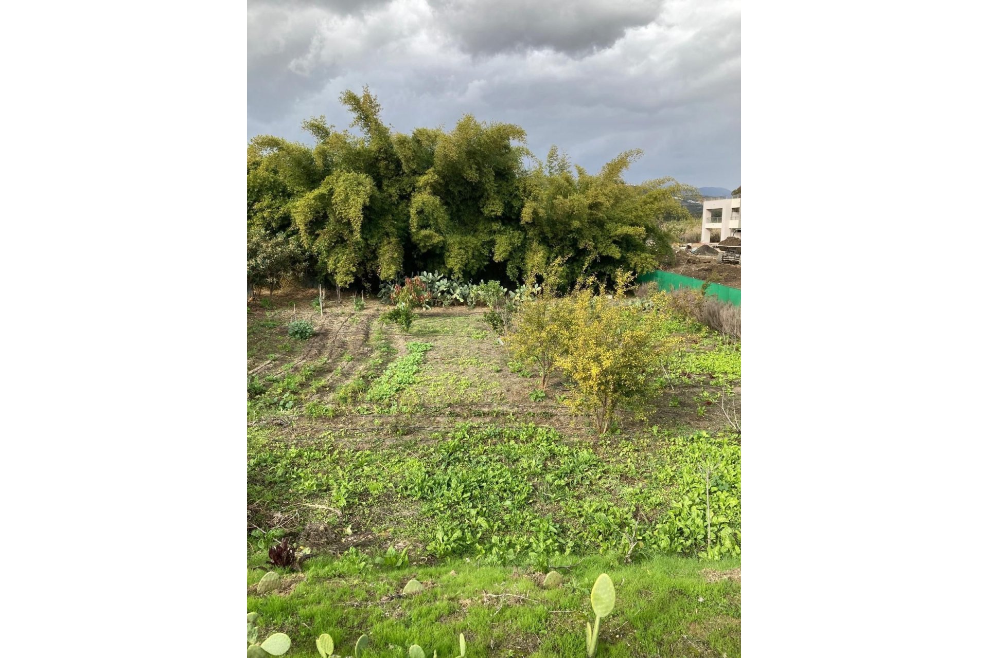 Resale - Villa - Casares - Casares Playa