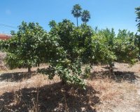 Resale - Villa - Estepona - Estepona Centro