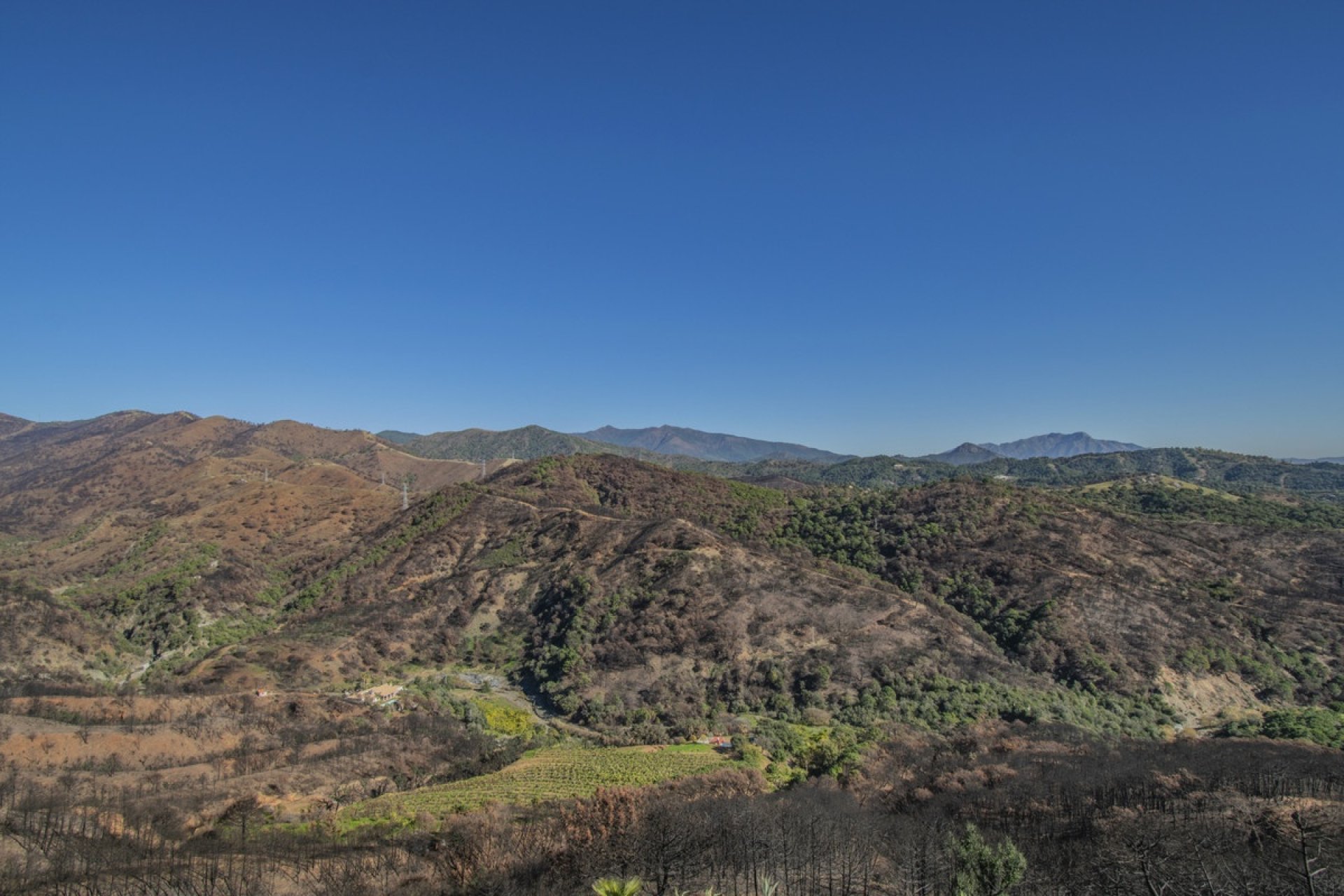 Resale - Villa - Estepona - Estepona Centro