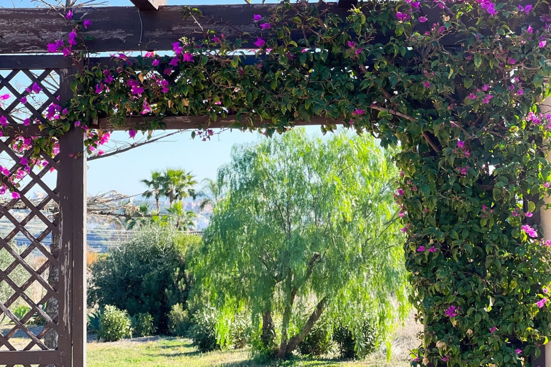 Resale - Villa - Estepona - Estepona Centro