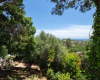 Resale - Villa - Estepona - Estepona Centro