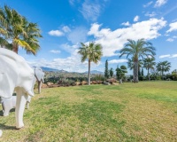 Resale - Villa - Estepona - Estepona Centro