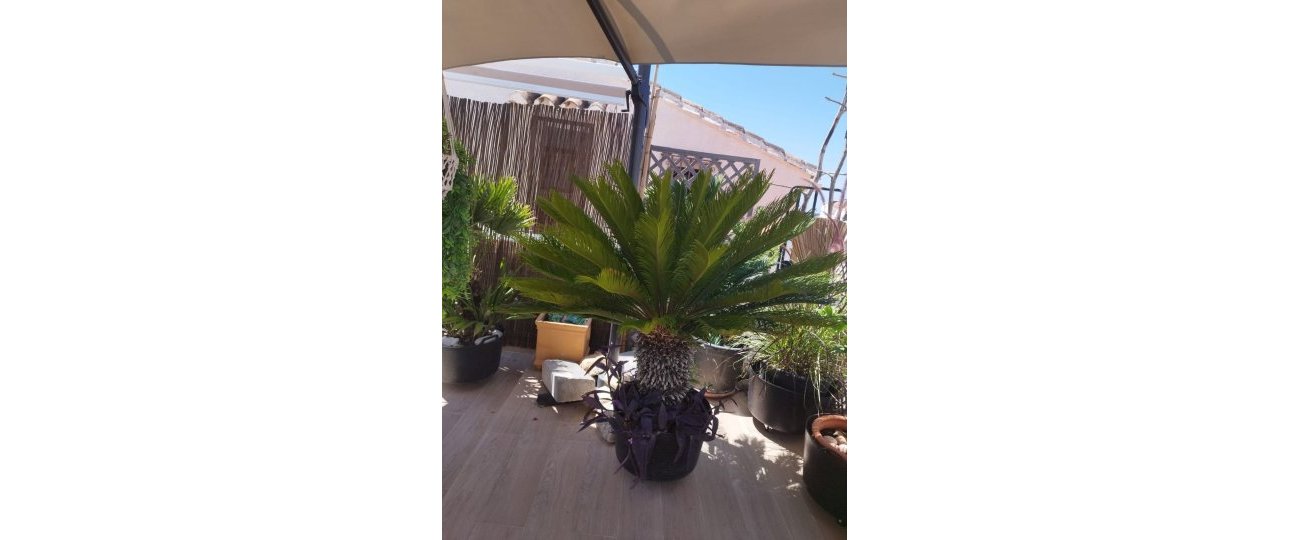 Resale - Villa - Estepona - Estepona Centro