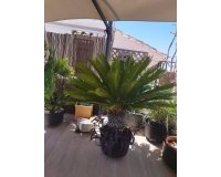 Resale - Villa - Estepona - Estepona Centro