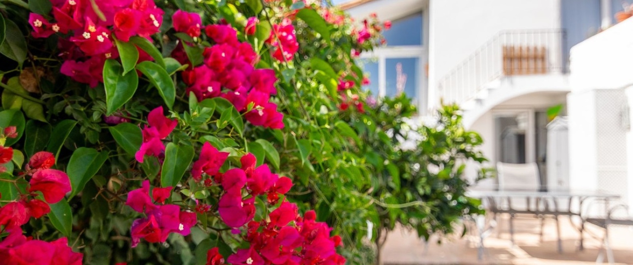 Resale - Villa - Estepona - Estepona Centro