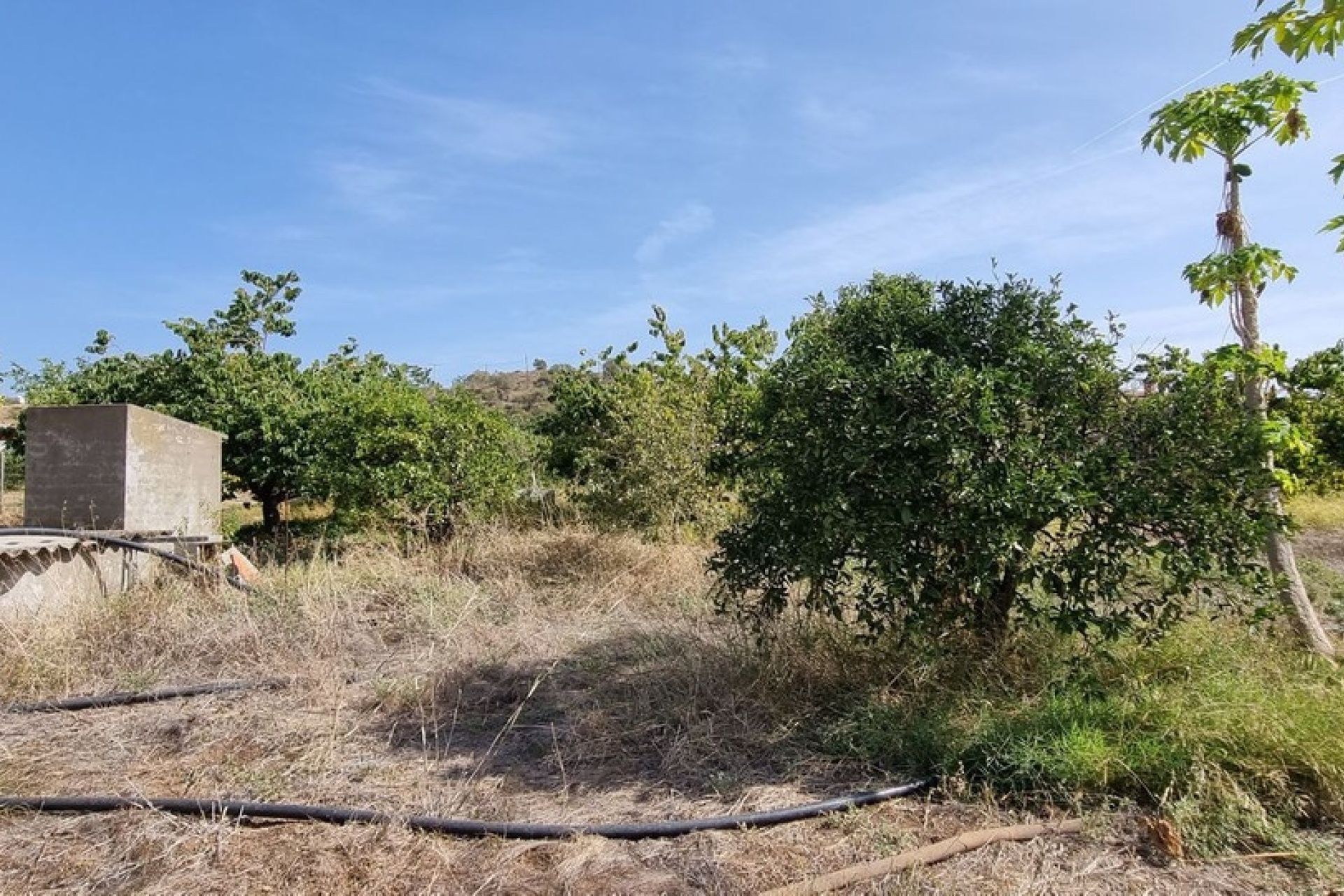 Resale - Villa - Estepona - Estepona Centro