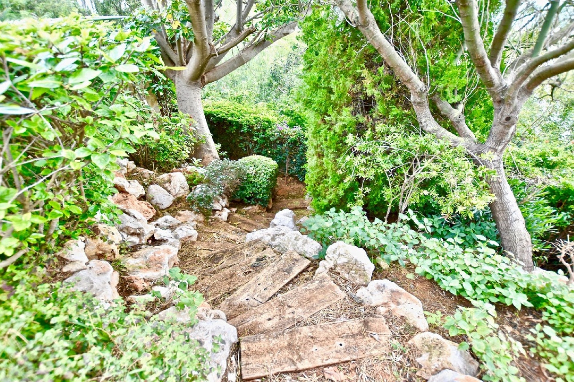 Resale - Villa - Jávea - Xàbia - Jávea - Xàbia Centro