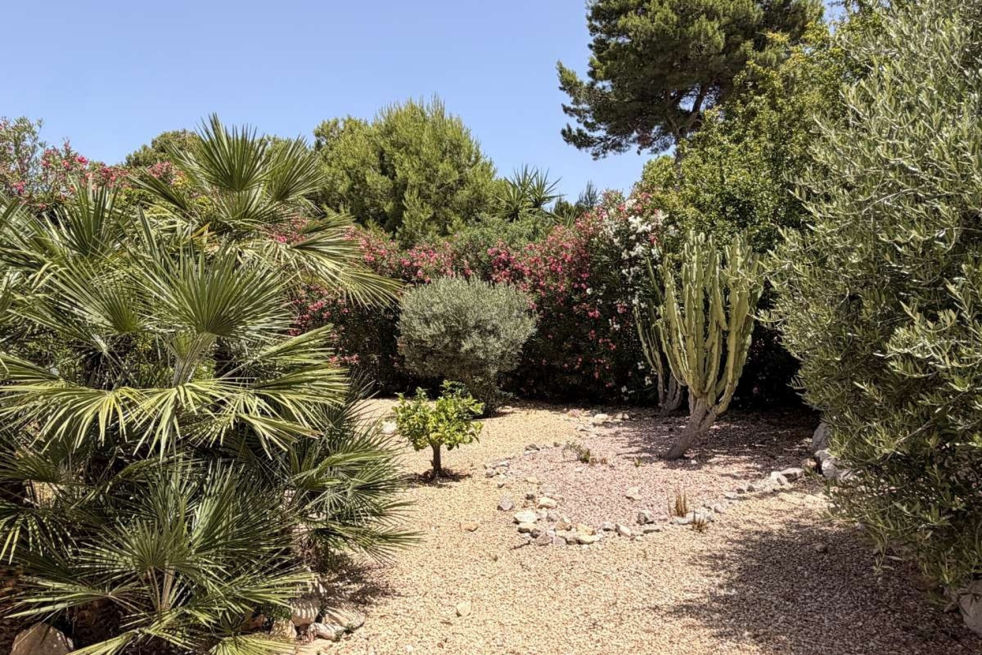 Resale - Villa - Jávea - Xàbia - Jávea - Xàbia Centro