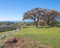 Resale - Villa - Marbella - Altos de los Monteros