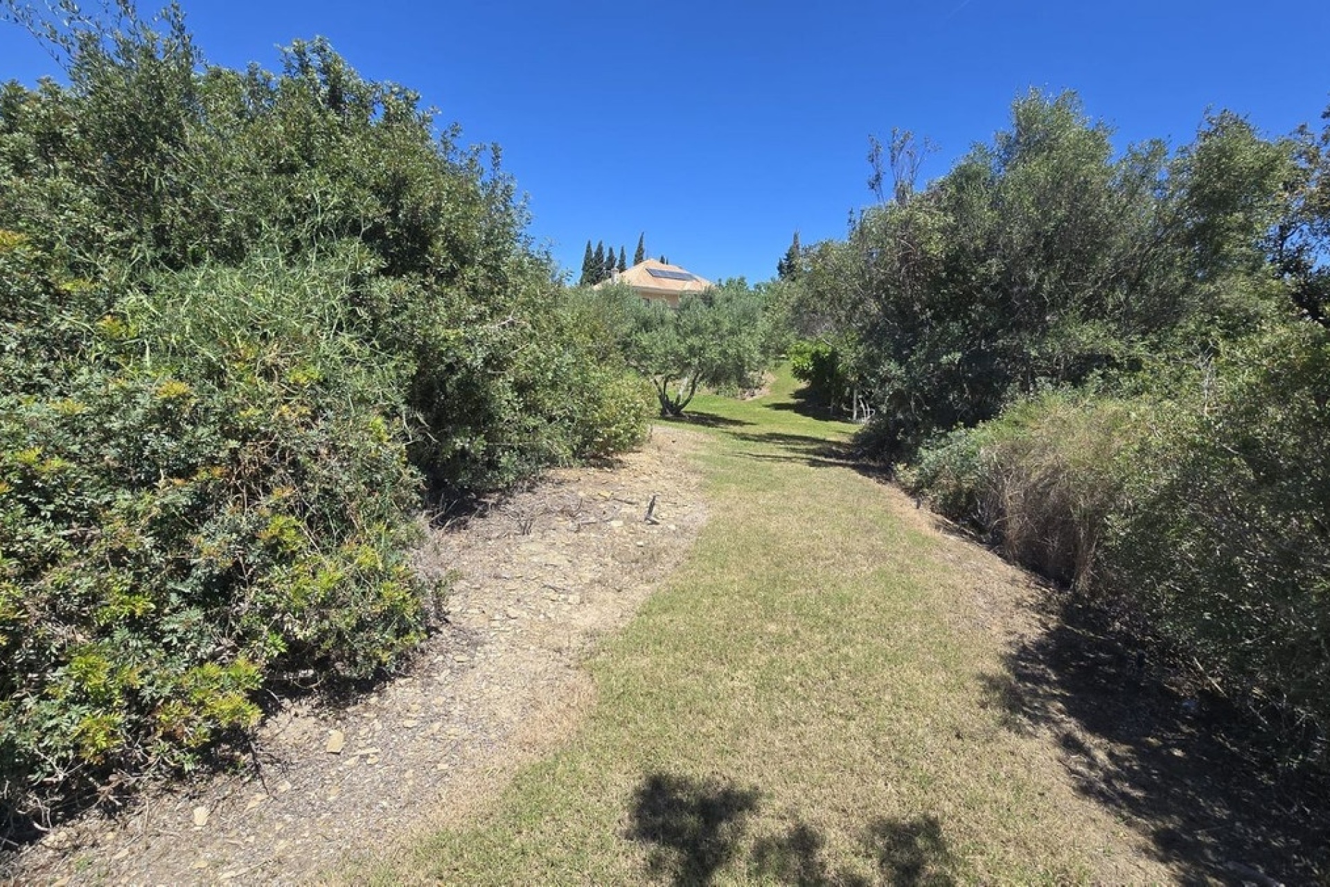 Resale - Villa - Marbella - El Rosario
