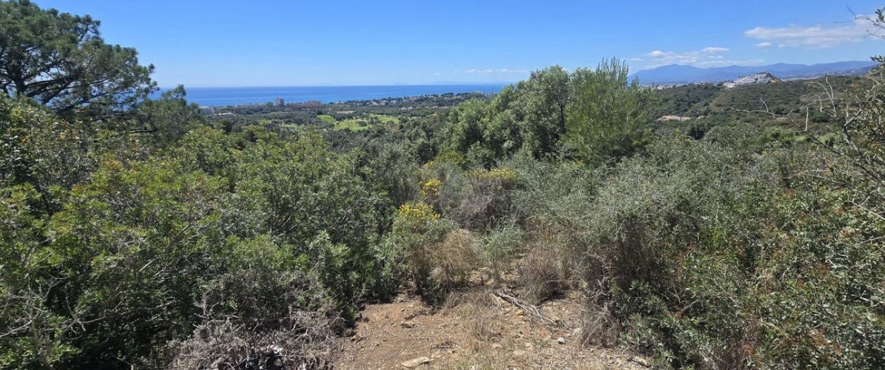 Resale - Villa - Marbella - El Rosario