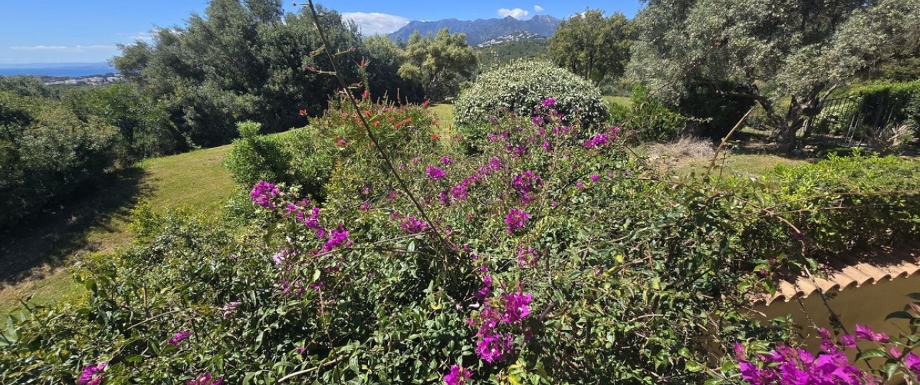 Resale - Villa - Marbella - El Rosario