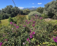 Resale - Villa - Marbella - El Rosario