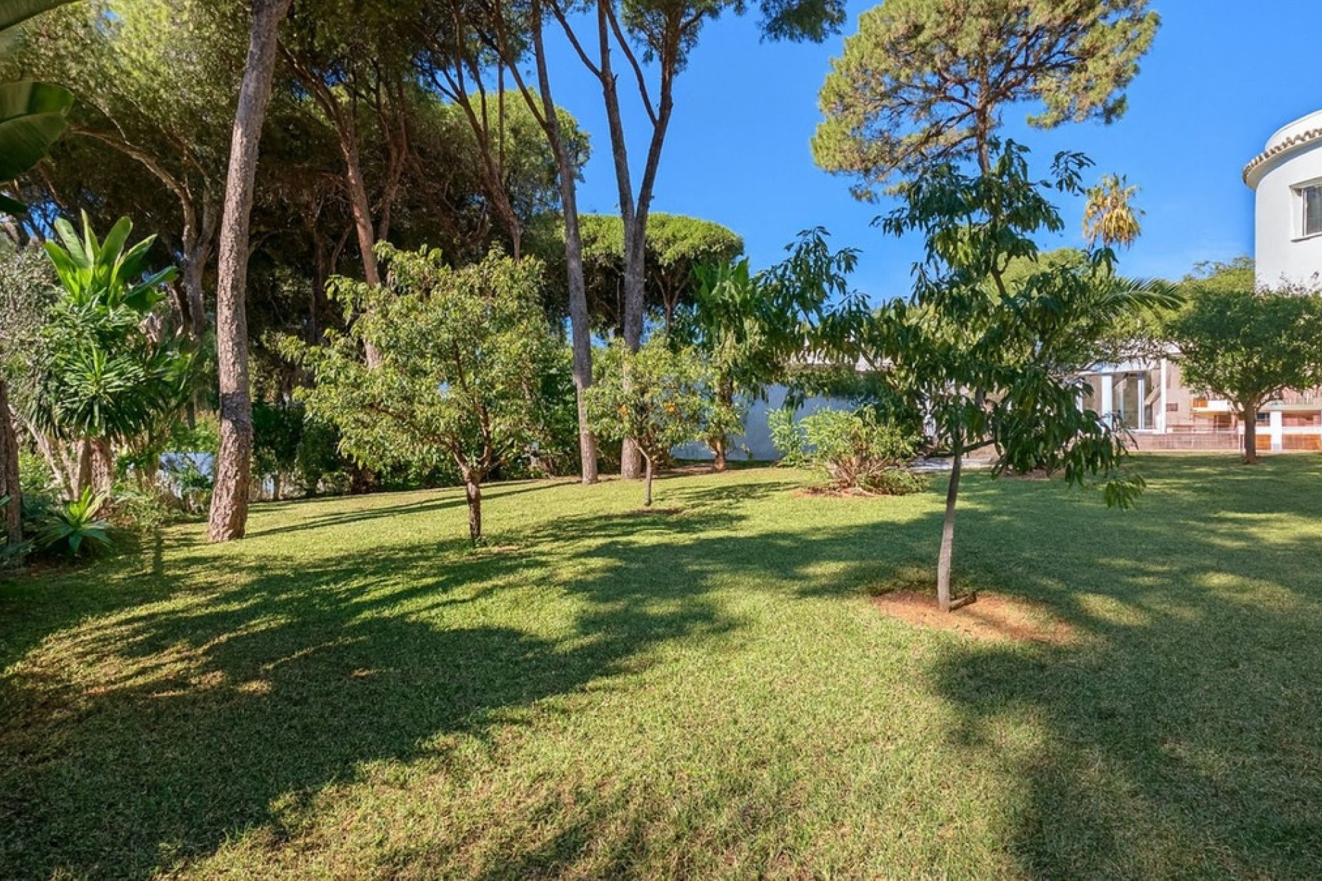 Resale - Villa - Marbella - El Rosario