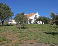 Resale - Villa - Marbella - Elviria
