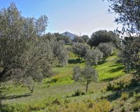 Resale - Villa - Marbella - Elviria