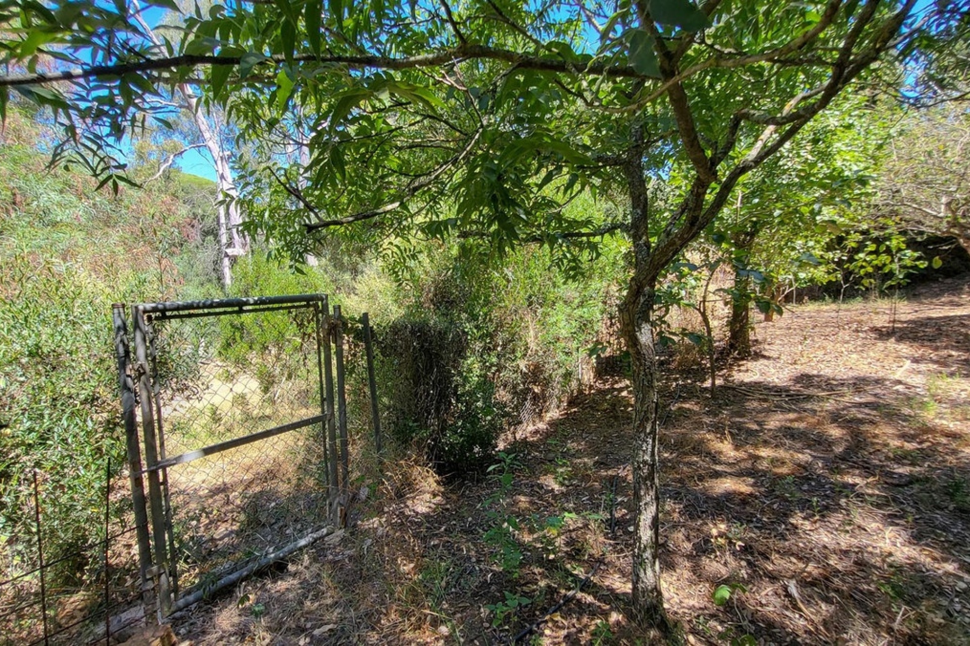 Resale - Villa - Marbella - Elviria