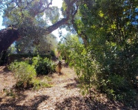 Resale - Villa - Marbella - Elviria