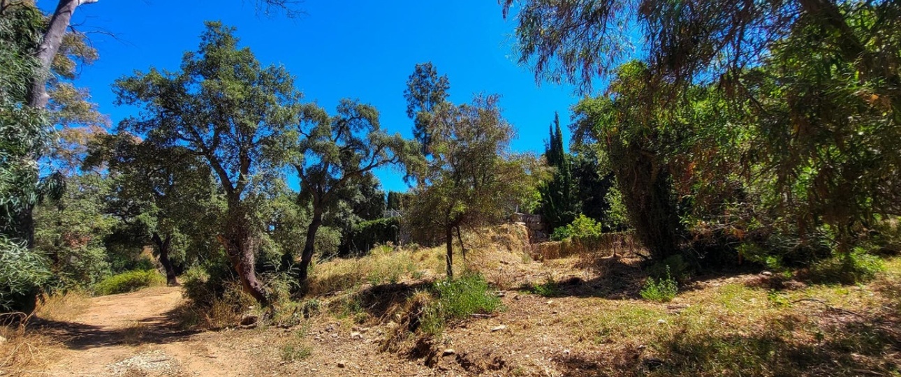 Resale - Villa - Marbella - Elviria