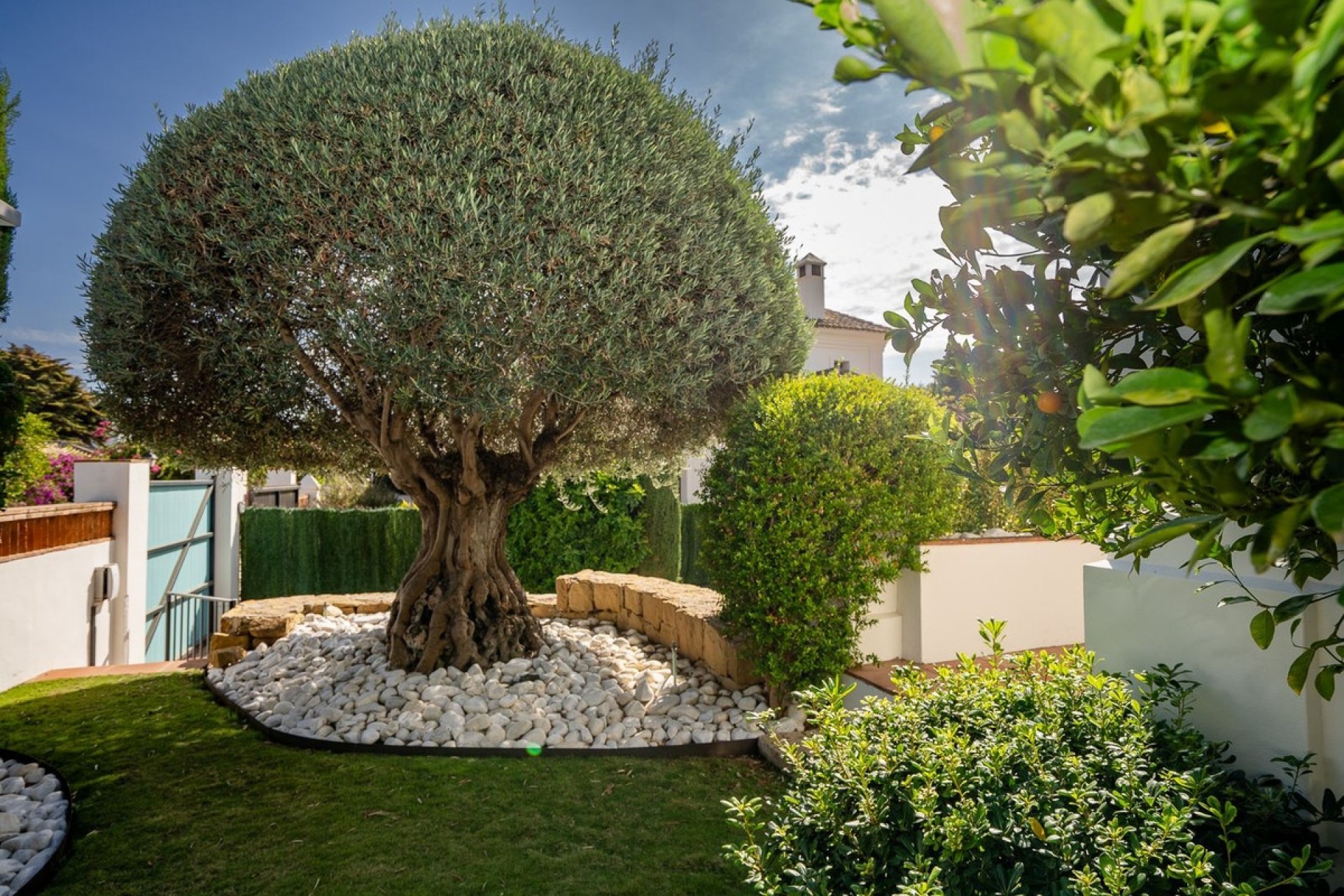 Resale - Villa - Marbella - Guadalmina Baja
