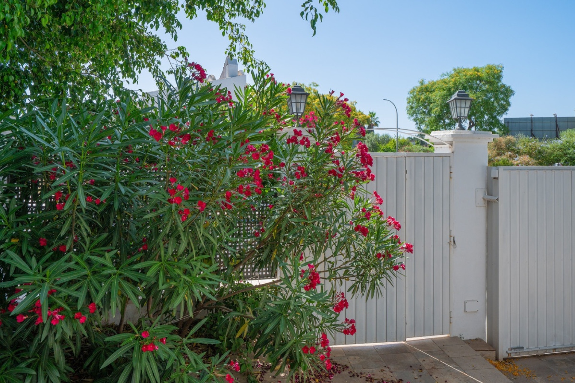 Resale - Villa - Marbella - Hacienda Las Chapas