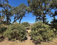 Resale - Villa - Marbella - La Mairena