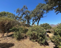 Resale - Villa - Marbella - La Mairena